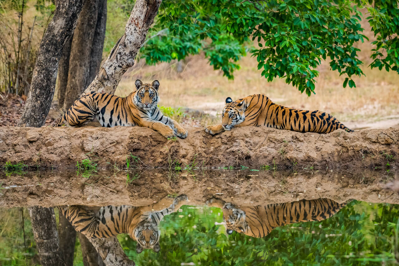 Sampoorna Madhya Pradesh Tour