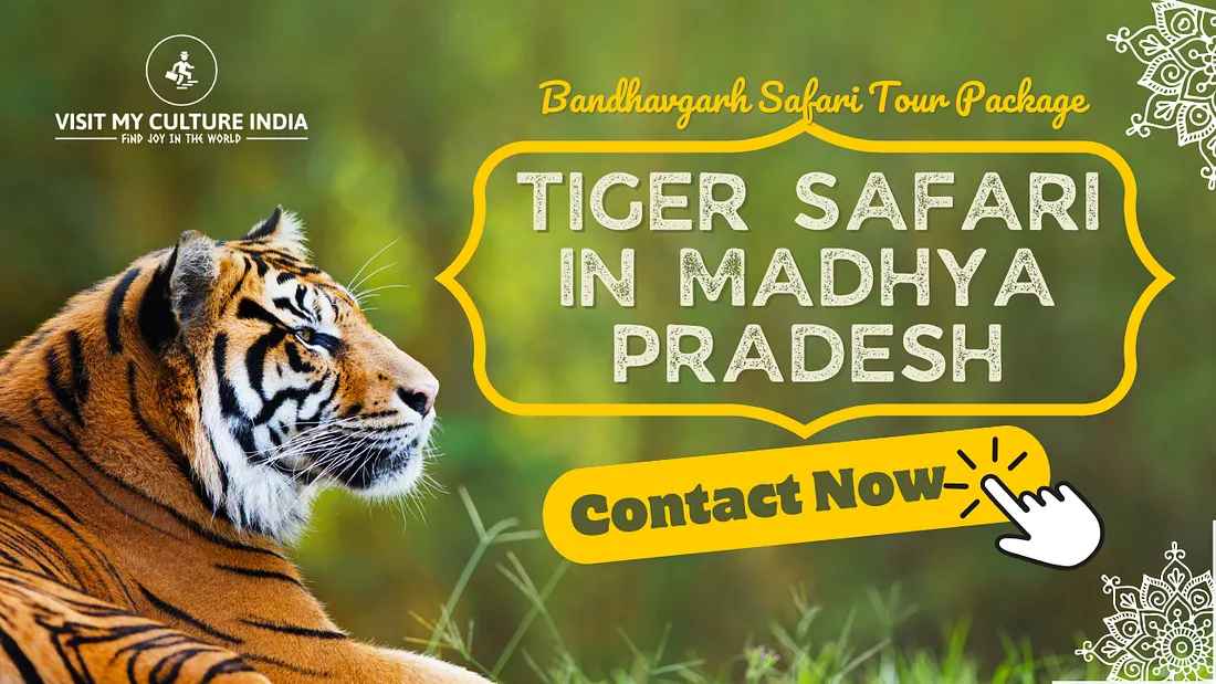 Bandhavgarh Tiger Safari Package | Jungle Safari in Madhya Pradesh